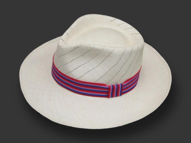 Panamahut Havana Raya